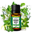 Mint flavouring for e-liquid
