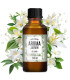 Aroma de Jazmín para líquido de humo