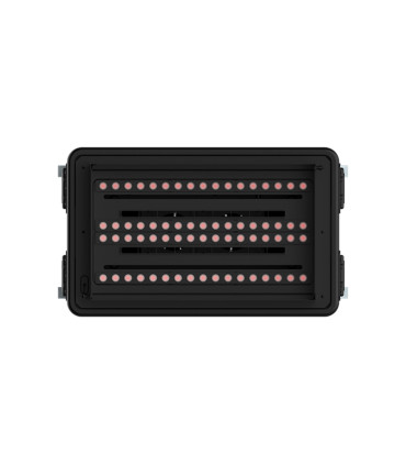 Alquiler Showven Fake Flame