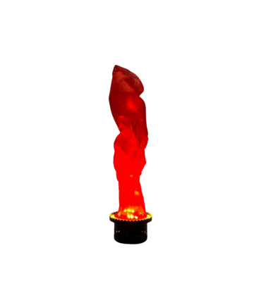 Rental Set Artificial Flame 1M LED