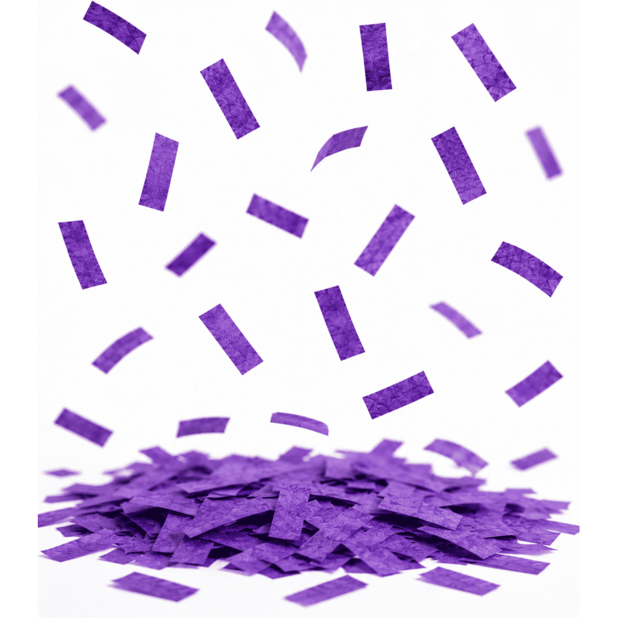 Purple Biodegradable Rectangular Paper Confetti