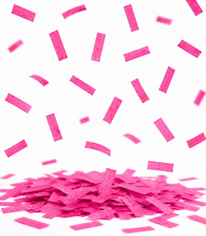 Pink Biodegradable Rectangular Paper Confetti