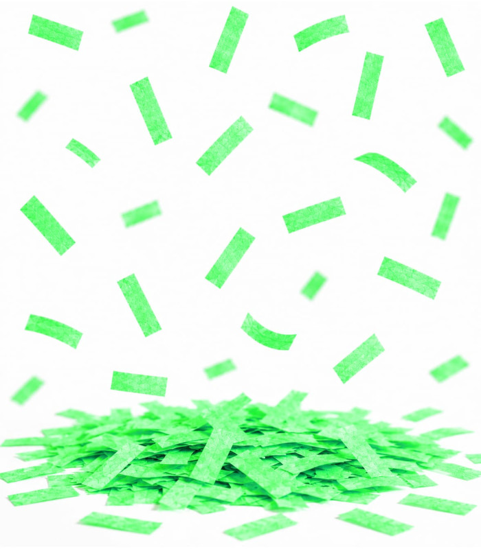 Light Green Biodegradable Rectangular Paper Confetti