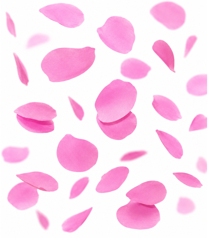 80 cm Petals Manual Cartridge