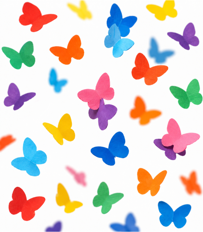 80 cm Butterfly Manual Cartridge