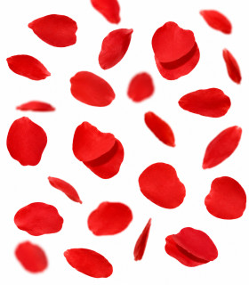 Confeti papel pétalos rojo Biodegradable