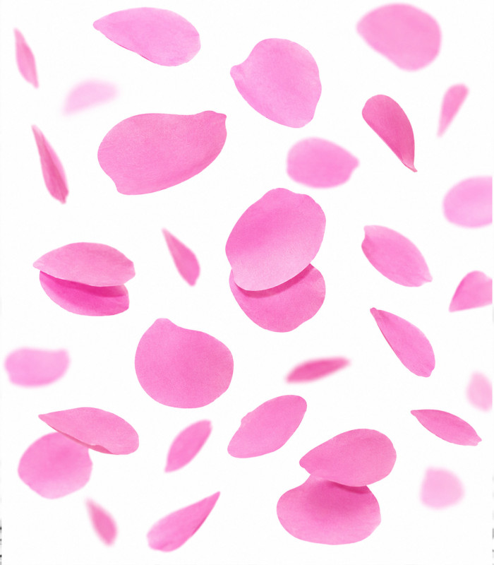 Confeti papel pétalos rosa Biodegradable