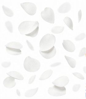 Confeti papel pétalos blanco Biodegradable