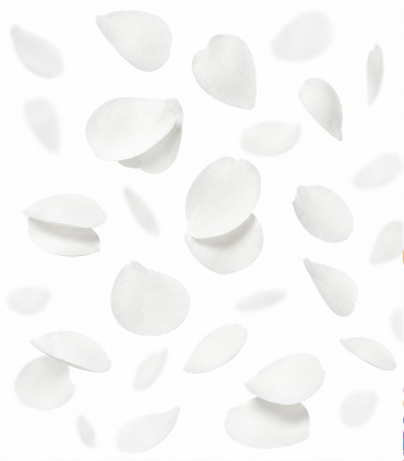 Biodegradable white paper confetti petals
