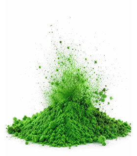 Sobres Polvos HOLI FX Verde 100g