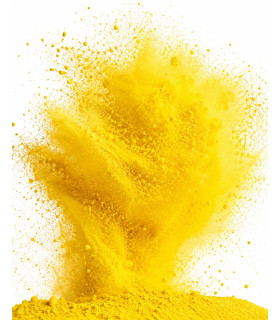 Saco Polvos HOLI FX Amarillo 5Kg