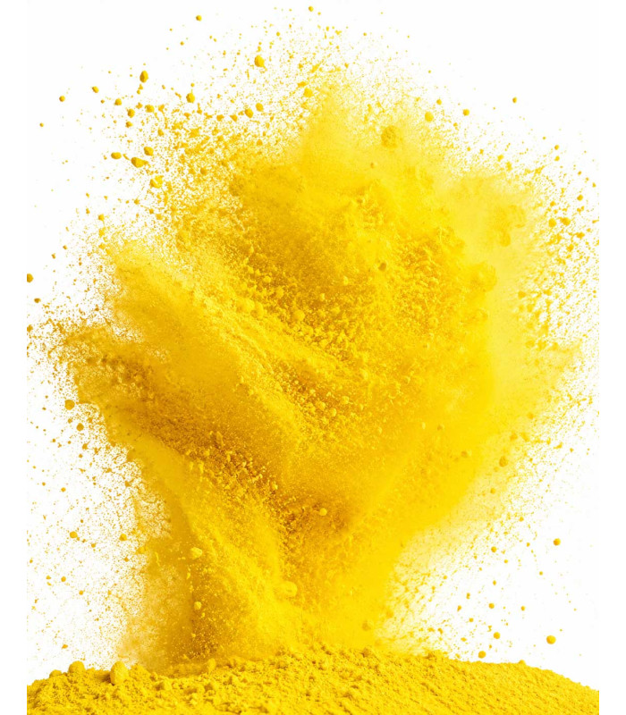Saco Polvos HOLI FX Amarillo 5Kg