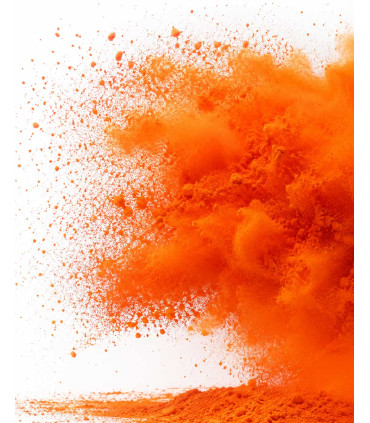 Saco Polvos HOLI FX Naranja 5Kg