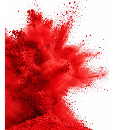 Saco Polvos HOLI FX Rojo 5Kg